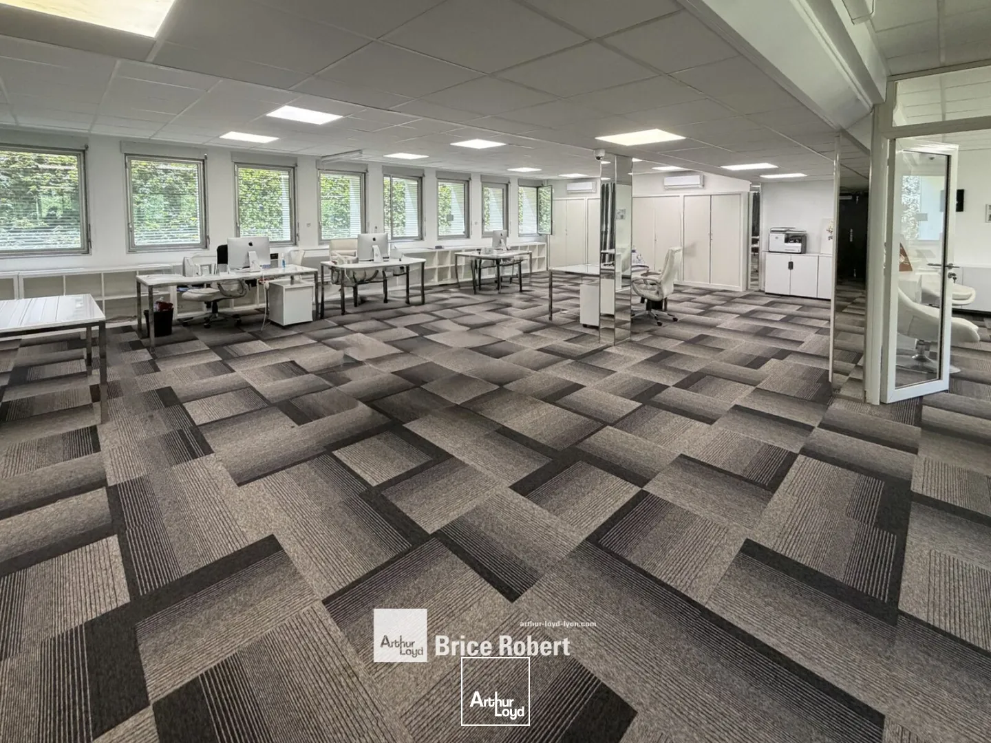 Bureaux - Vente - ECULLY - 69130 - 217-217 - 7876320