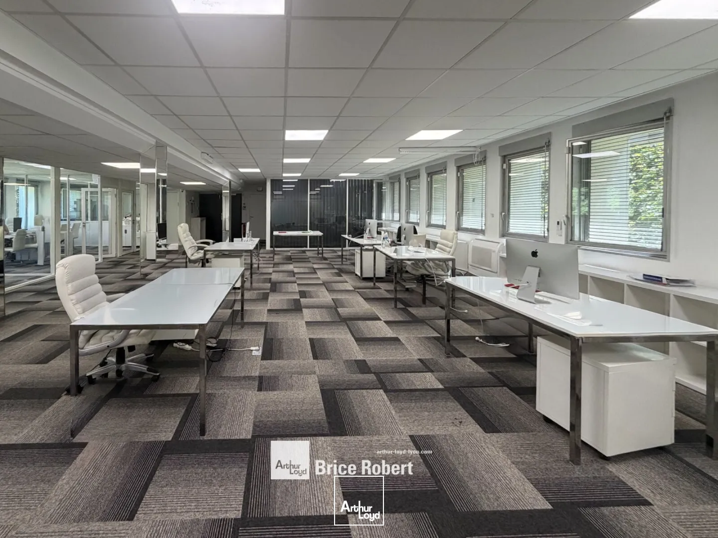 Bureaux - Vente - ECULLY - 69130 - 217-217 - 7876321