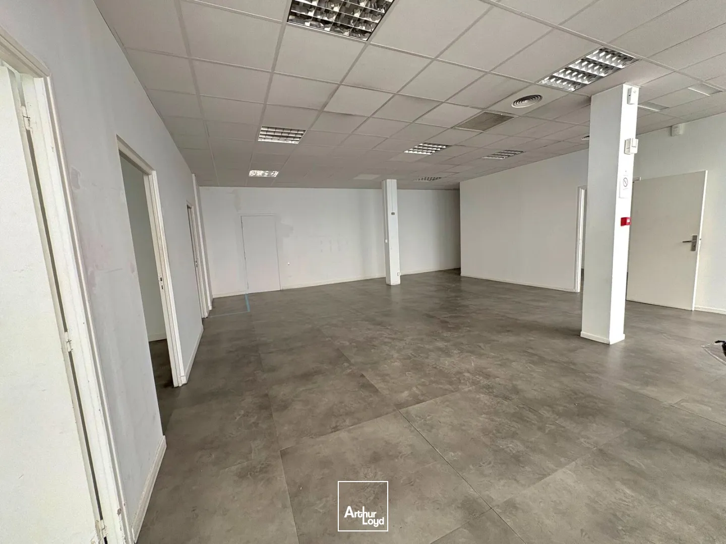 Locaux commerciaux - Location - MARSEILLE - 13005 - 875-875 - 7876545