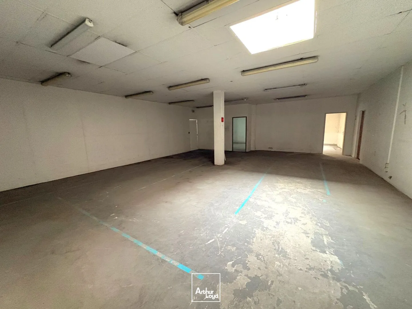 Locaux commerciaux - Location - MARSEILLE - 13005 - 875-875 - 7876547