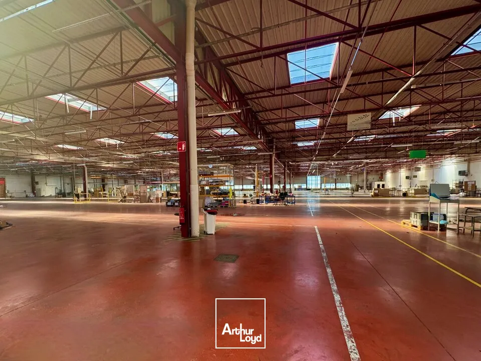 Locaux d'activité & Entrepôts - Vente - NERSAC - 16440 - 16500-16500 - 7877085