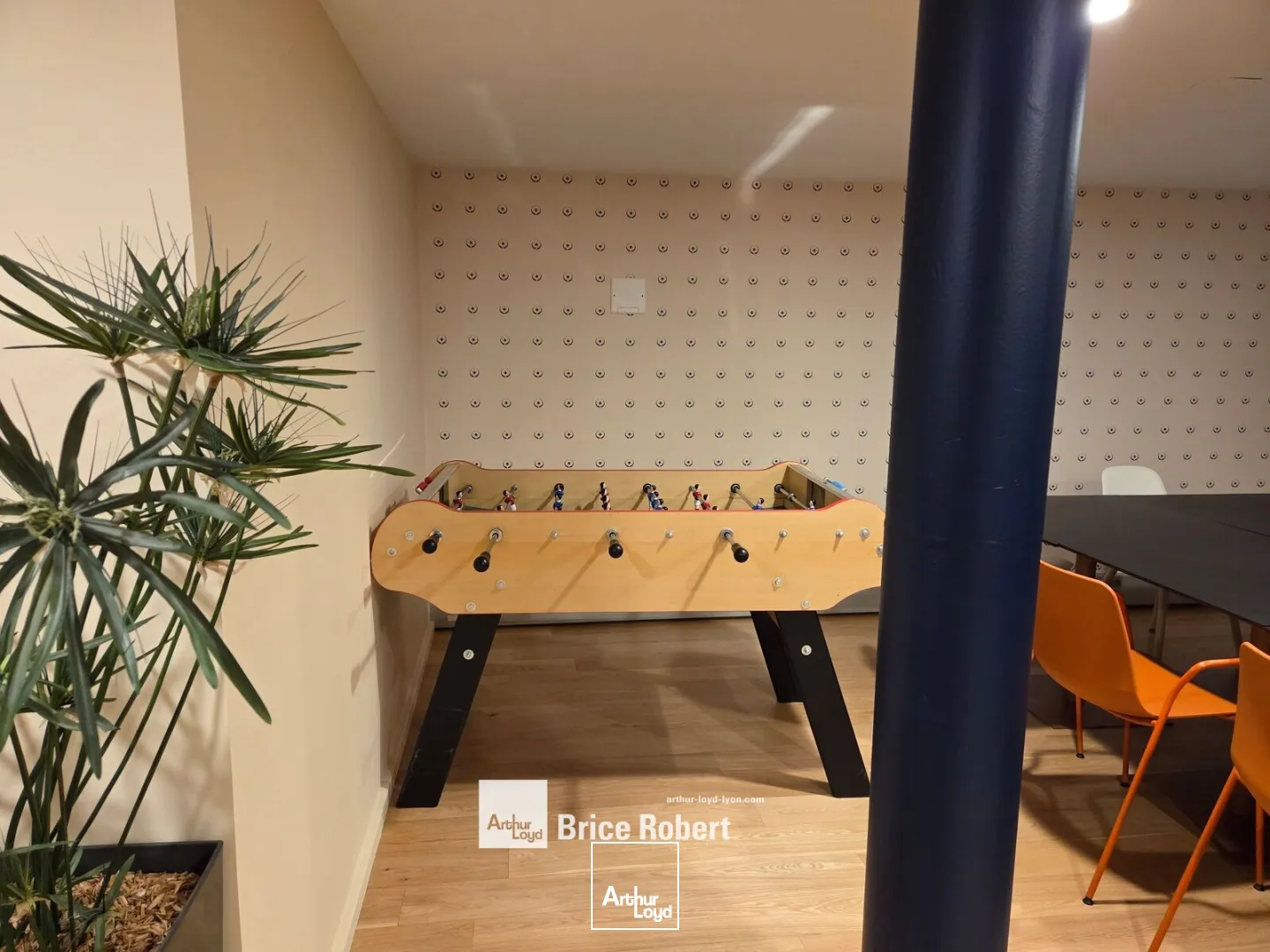 Bureaux - Location - LYON - 69006 - 164-164 - 7877249