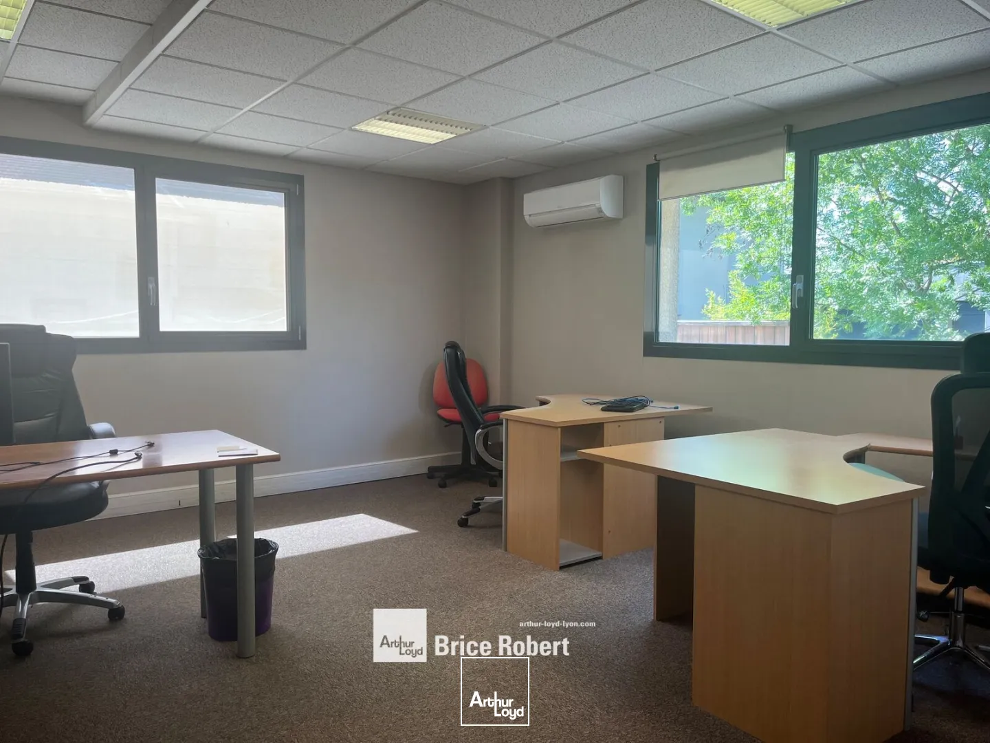 Bureaux - Vente - CHAMPAGNE AU MONT D'OR - 69410 - 450-450 - 7877253