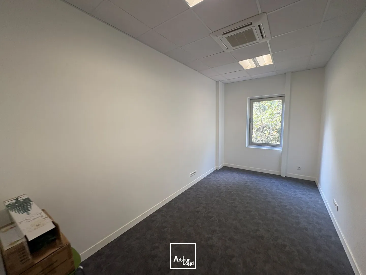 Bureaux - Location - SAINT JEAN DE BRAYE - 45800 - 160.61-160.61 - 7877685