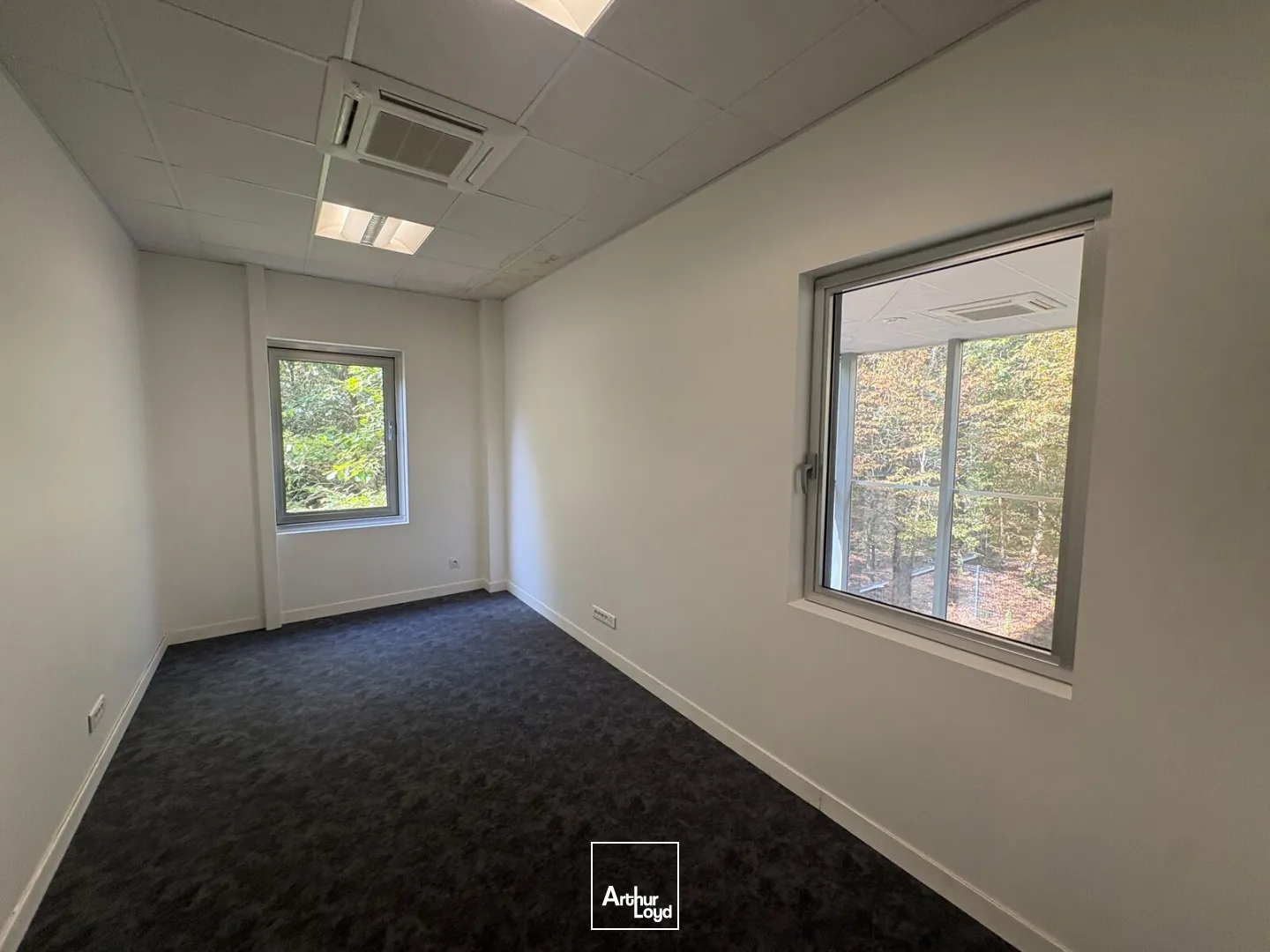 Bureaux - Location - SAINT JEAN DE BRAYE - 45800 - 160.61-160.61 - 7877682