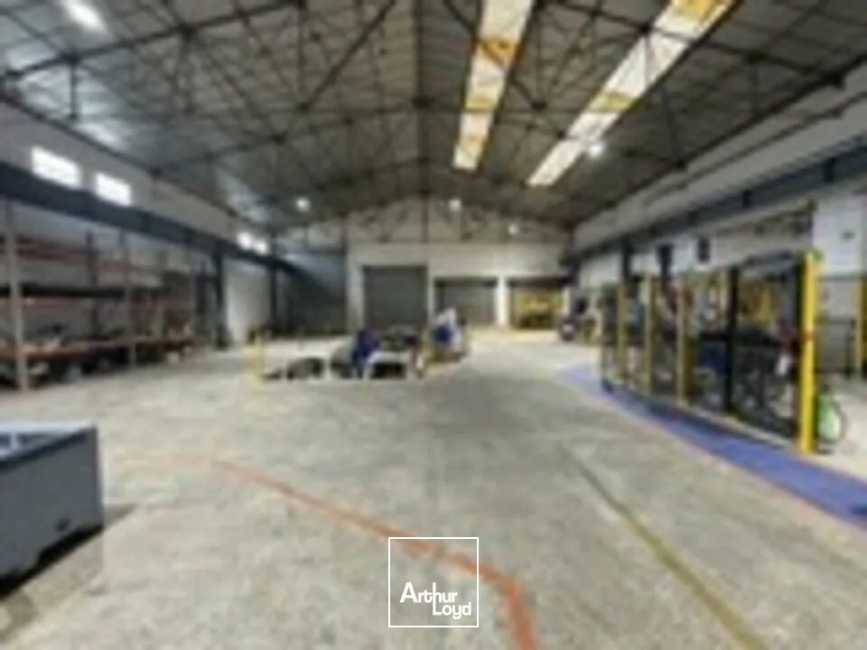 Locaux d'activité & Entrepôts - Location - JOUÉ-LÈS-TOURS - 37300 - 3989-3989 - 7877810