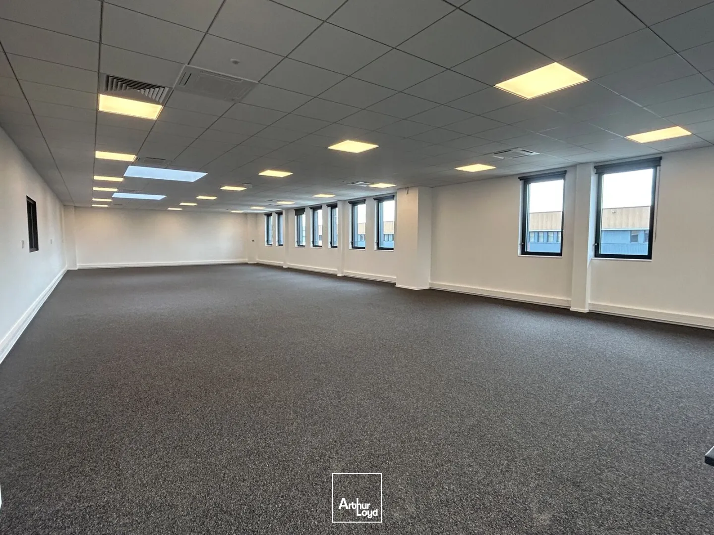 Locaux d'activité & Entrepôts - Location - MITRY MORY - 77290 - 1523-12254 - 7877885
