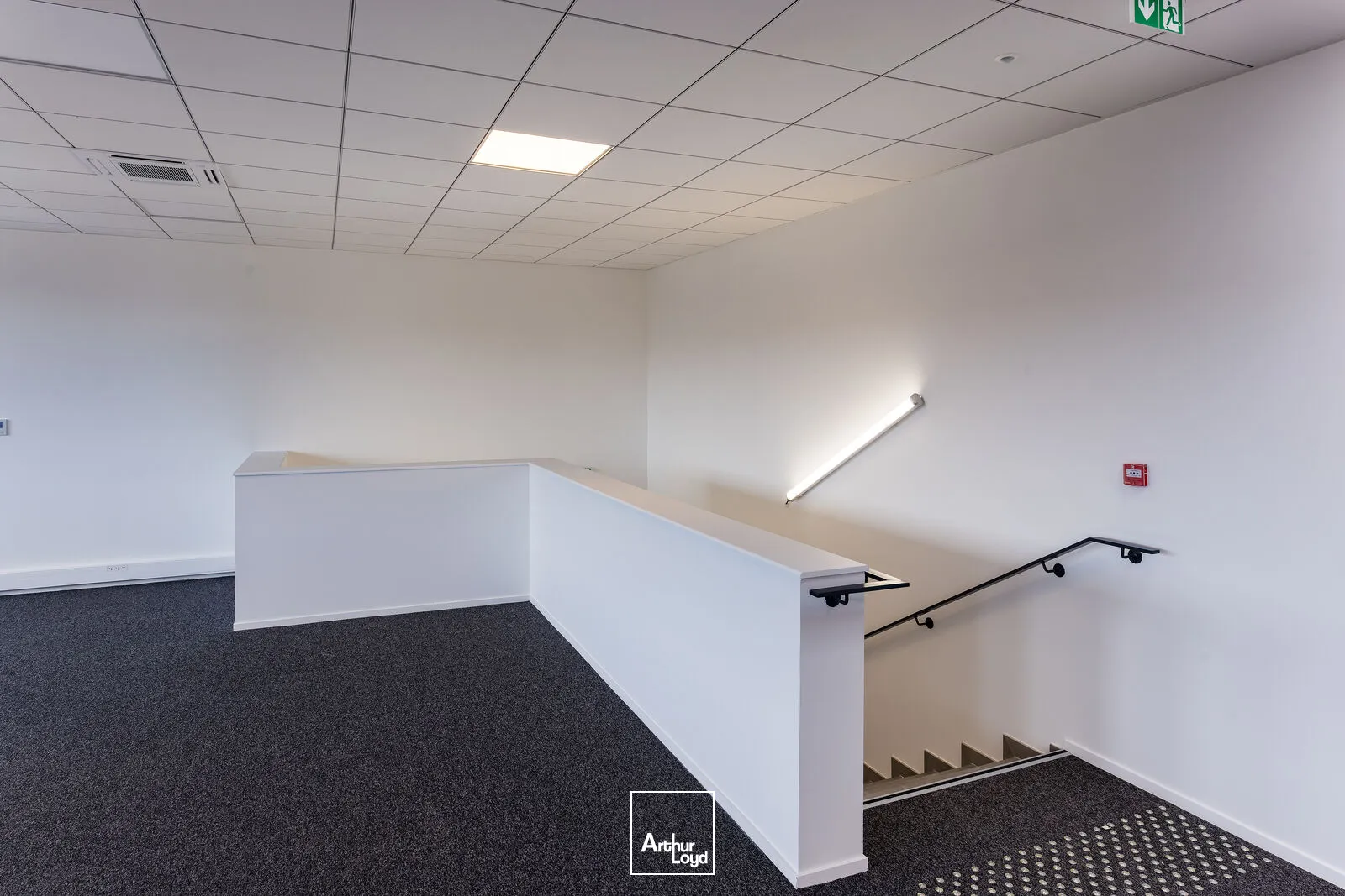 Locaux d'activité & Entrepôts - Location - MITRY MORY - 77290 - 1523-12254 - 7877886