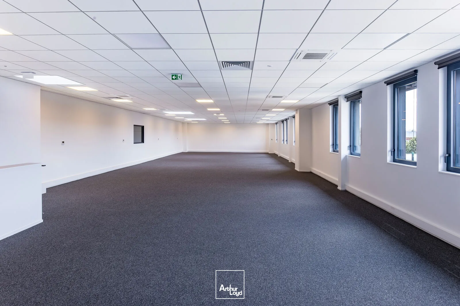 Locaux d'activité & Entrepôts - Location - MITRY MORY - 77290 - 1523-12254 - 7877887