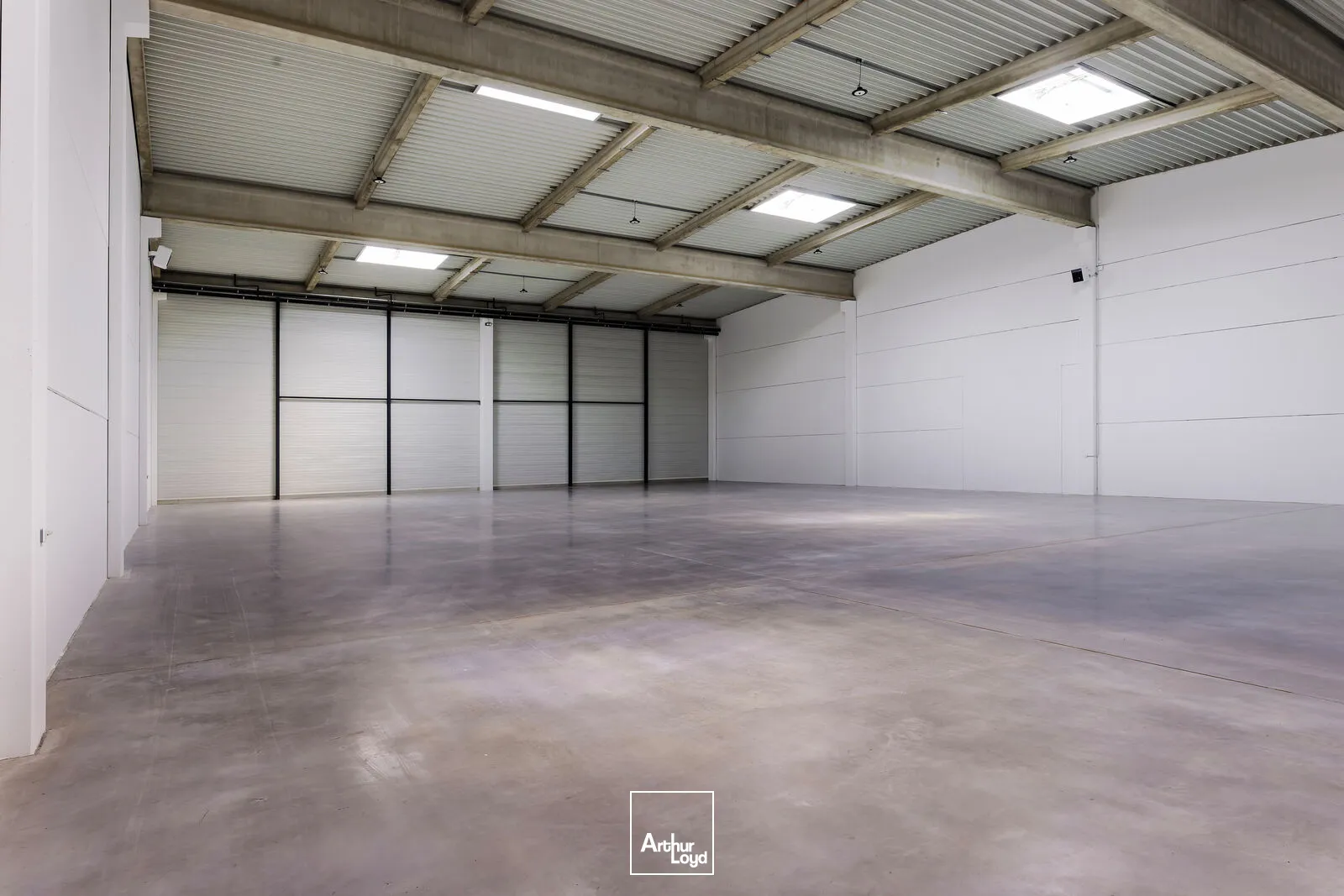 Locaux d'activité & Entrepôts - Location - MITRY MORY - 77290 - 1523-12254 - 7877888
