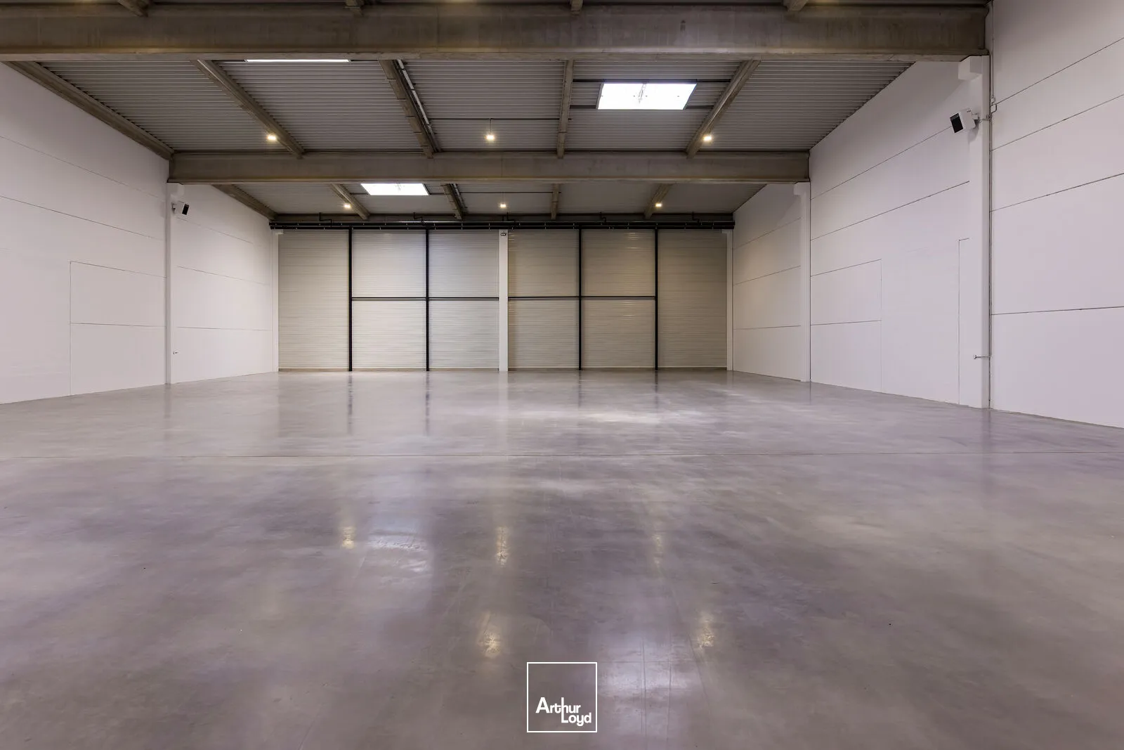 Locaux d'activité & Entrepôts - Location - MITRY MORY - 77290 - 1523-12254 - 7877891