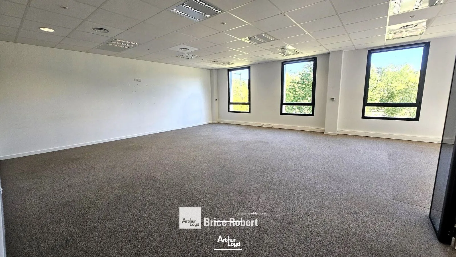 Bureaux - Location - LIMONEST - 69760 - 243-603.7 - 7878094