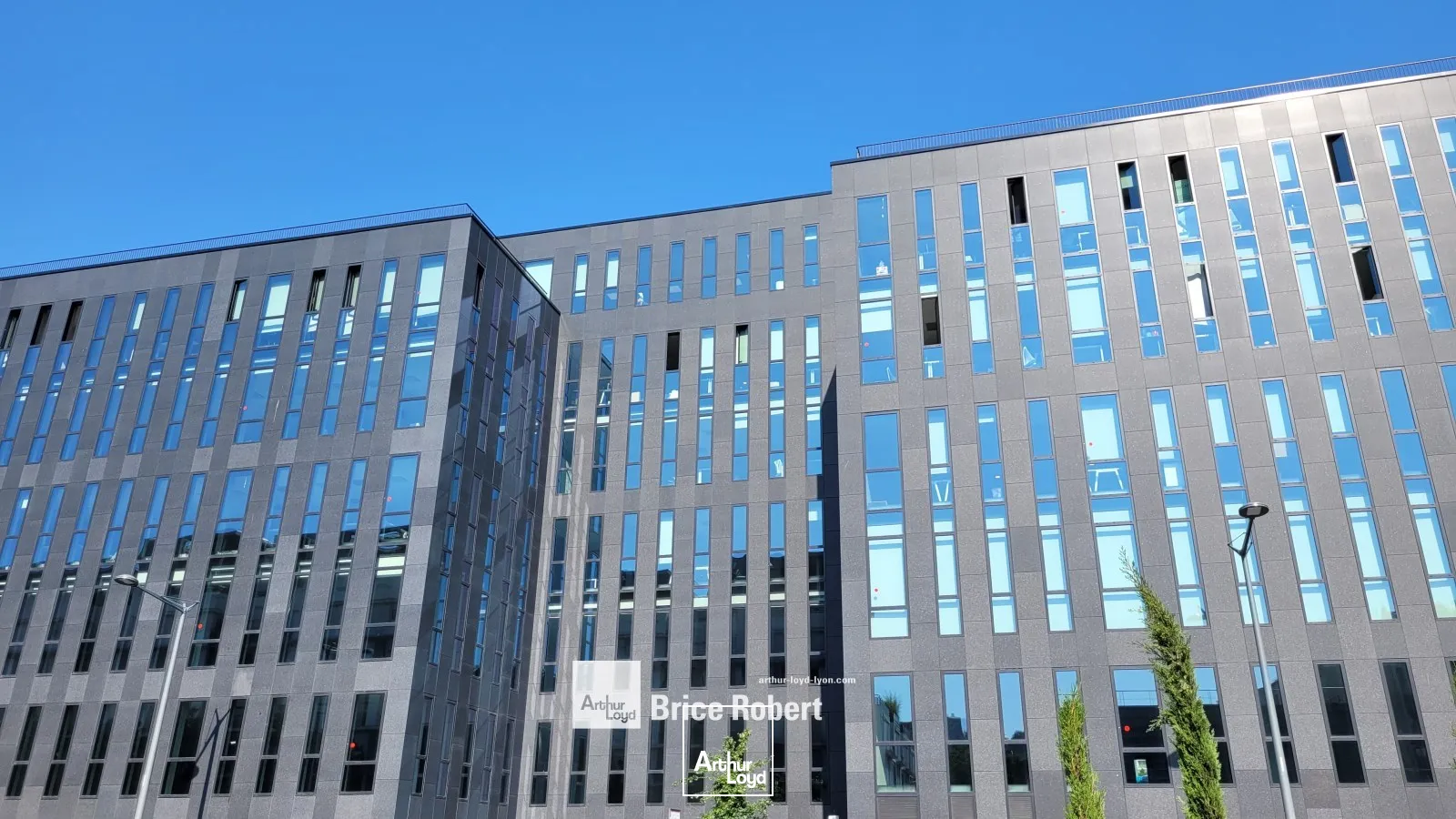 Bureaux - Location - LYON - 69009 - 305-305 - 7878100