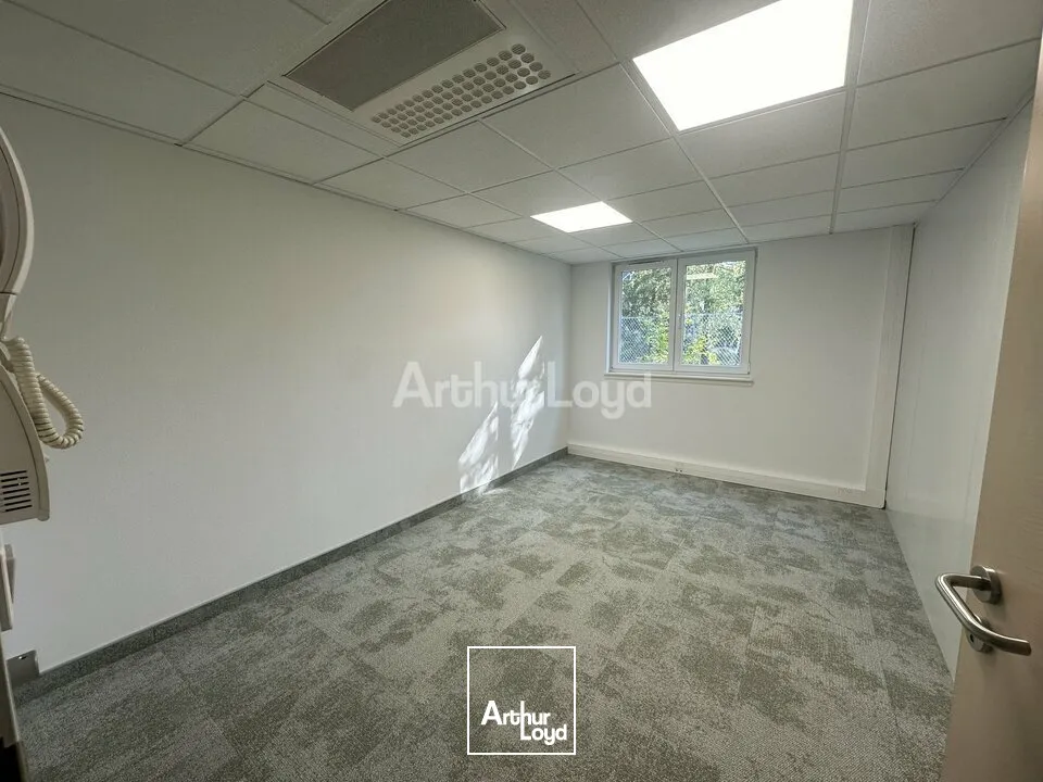 Bureaux - Location - ECKBOLSHEIM - 67201 - 24-199 - 7878276