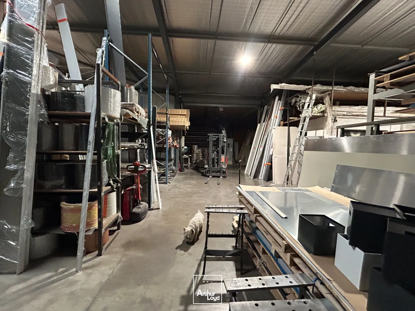Locaux d'activité & Entrepôts - Vente - VENDRES - 34350 - 1285.36-1285.36 - 7878763