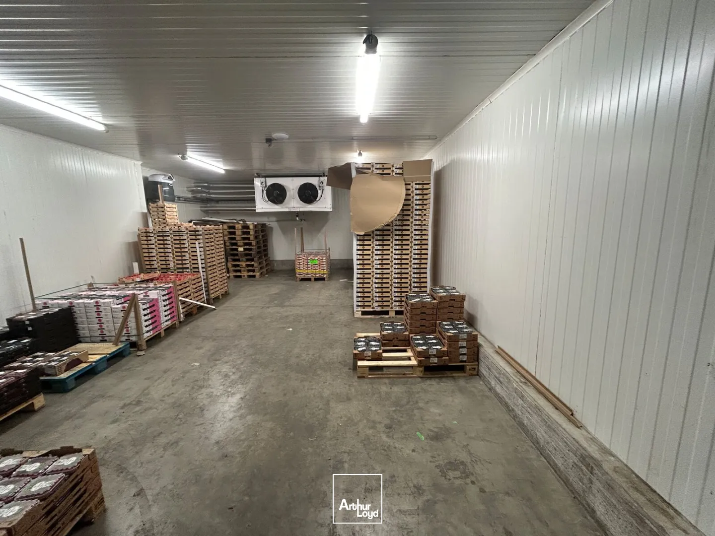 Locaux d'activité & Entrepôts - Vente - PERPIGNAN - 66000 - 2673-2673 - 7878799