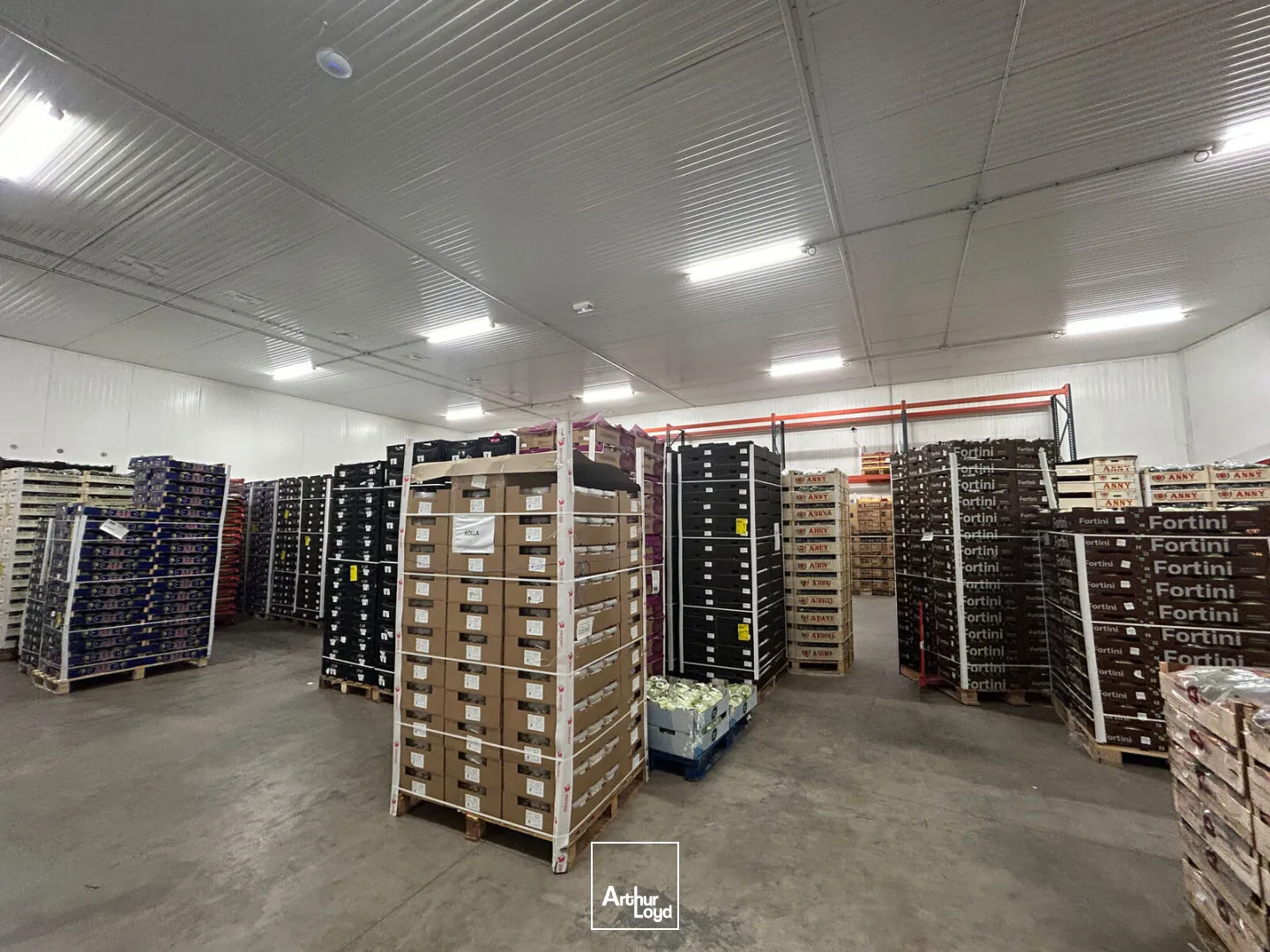 Locaux d'activité & Entrepôts - Vente - PERPIGNAN - 66000 - 2673-2673 - 7878800