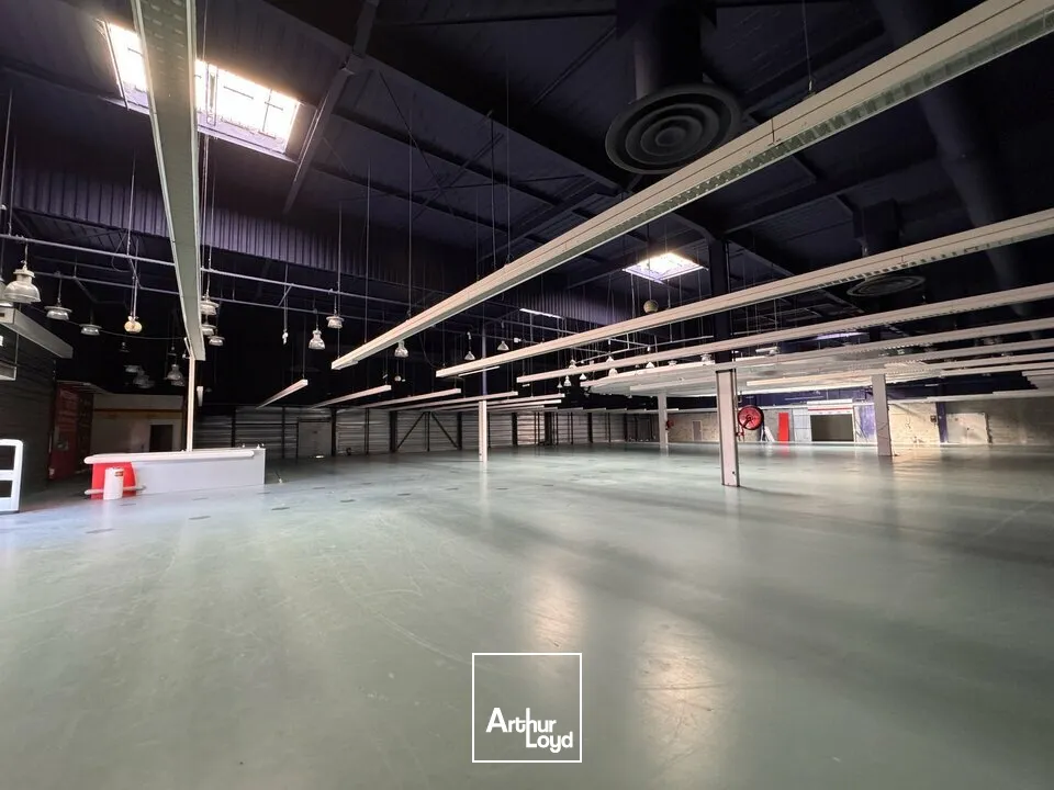 Locaux commerciaux - Location - CHAMPNIERS - 16430 - 2024-2024 - 7879349