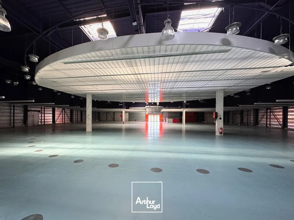 Locaux commerciaux - Location - CHAMPNIERS - 16430 - 2024-2024 - 7879350
