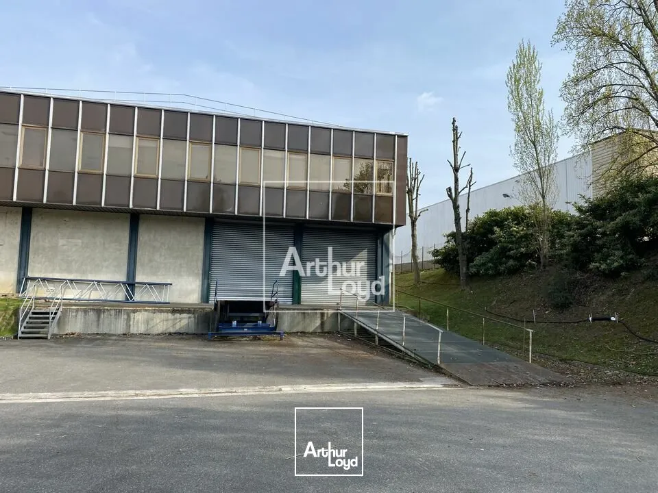 Locaux d'activité & Entrepôts - Location - WISSOUS - 91320 - 1351-1351 - 7879692