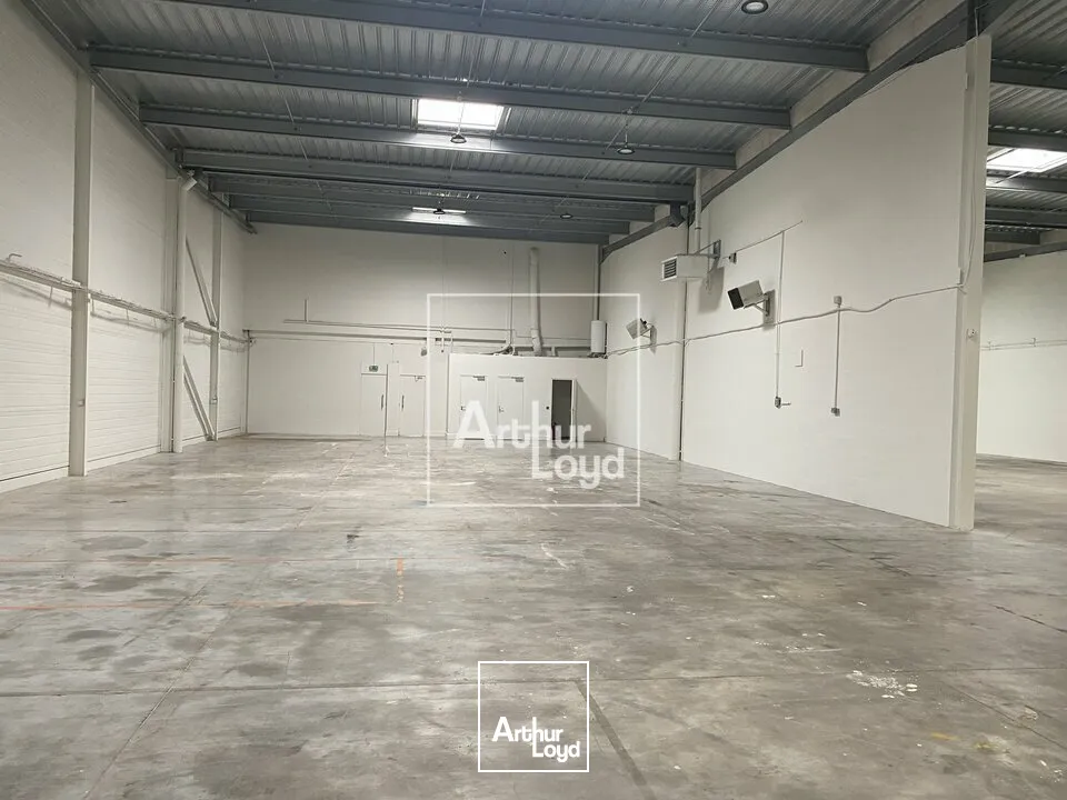 Locaux d'activité & Entrepôts - Location - LISSES - 91090 - 538-1686 - 7879720