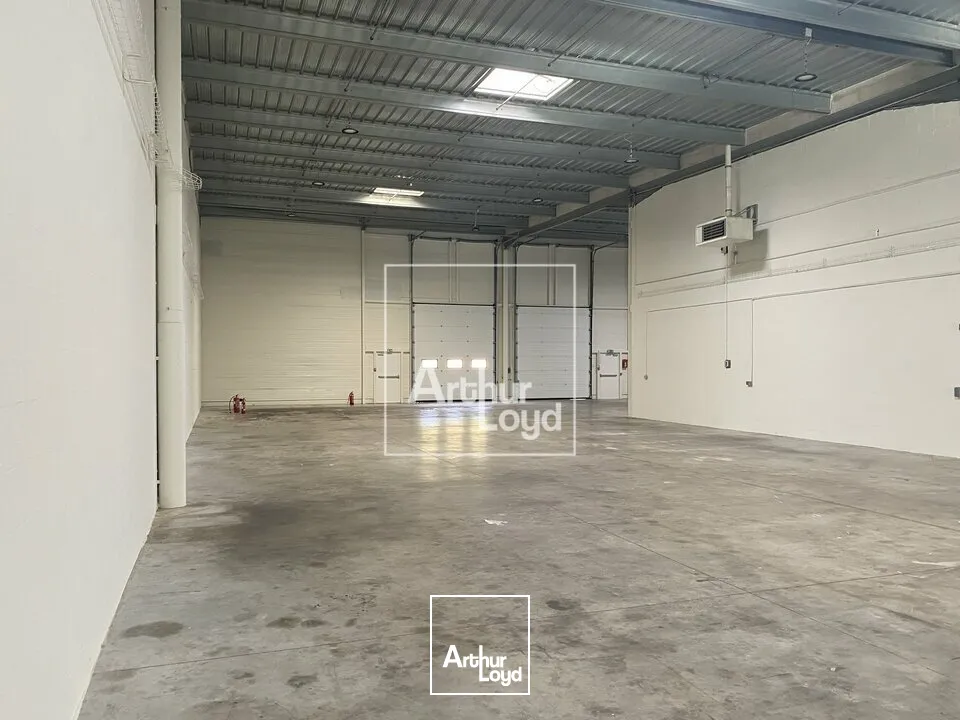 Locaux d'activité & Entrepôts - Location - LISSES - 91090 - 538-1686 - 7879716