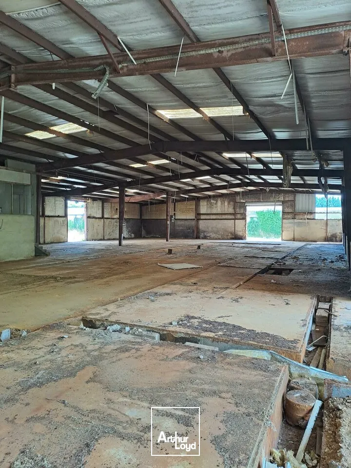 Locaux d'activité & Entrepôts - Location - NAINTRE - 86530 - 1000-1000 - 7879724