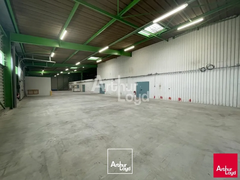 Locaux d'activité & Entrepôts - Location - MOZÉ-SUR-LOUET - 49610 - 245-1080 - 7879762
