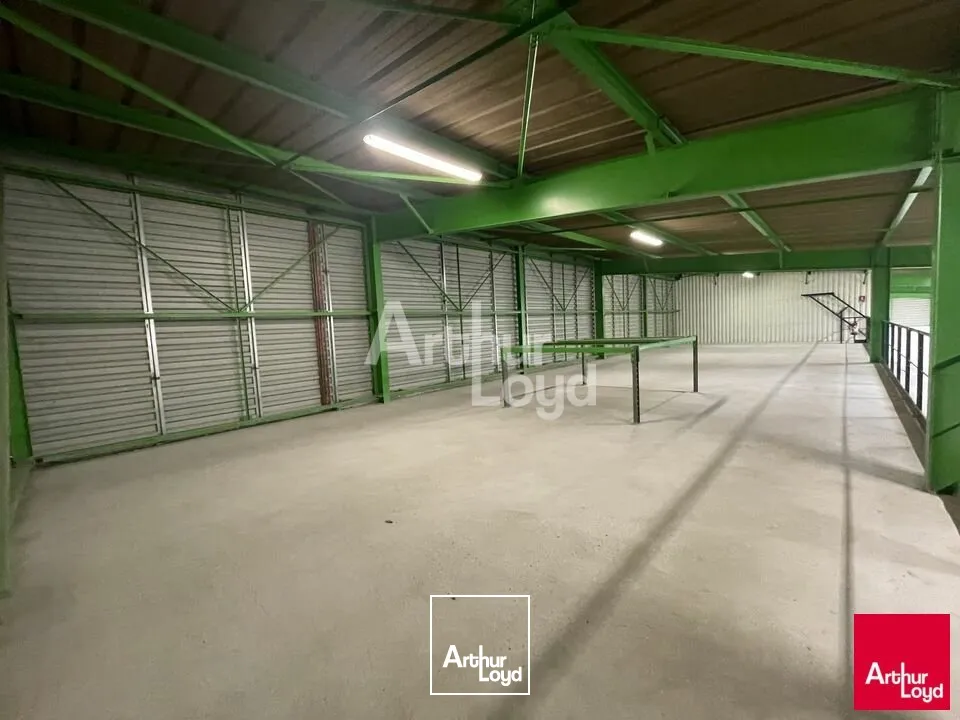 Locaux d'activité & Entrepôts - Location - MOZÉ-SUR-LOUET - 49610 - 245-1080 - 7879765