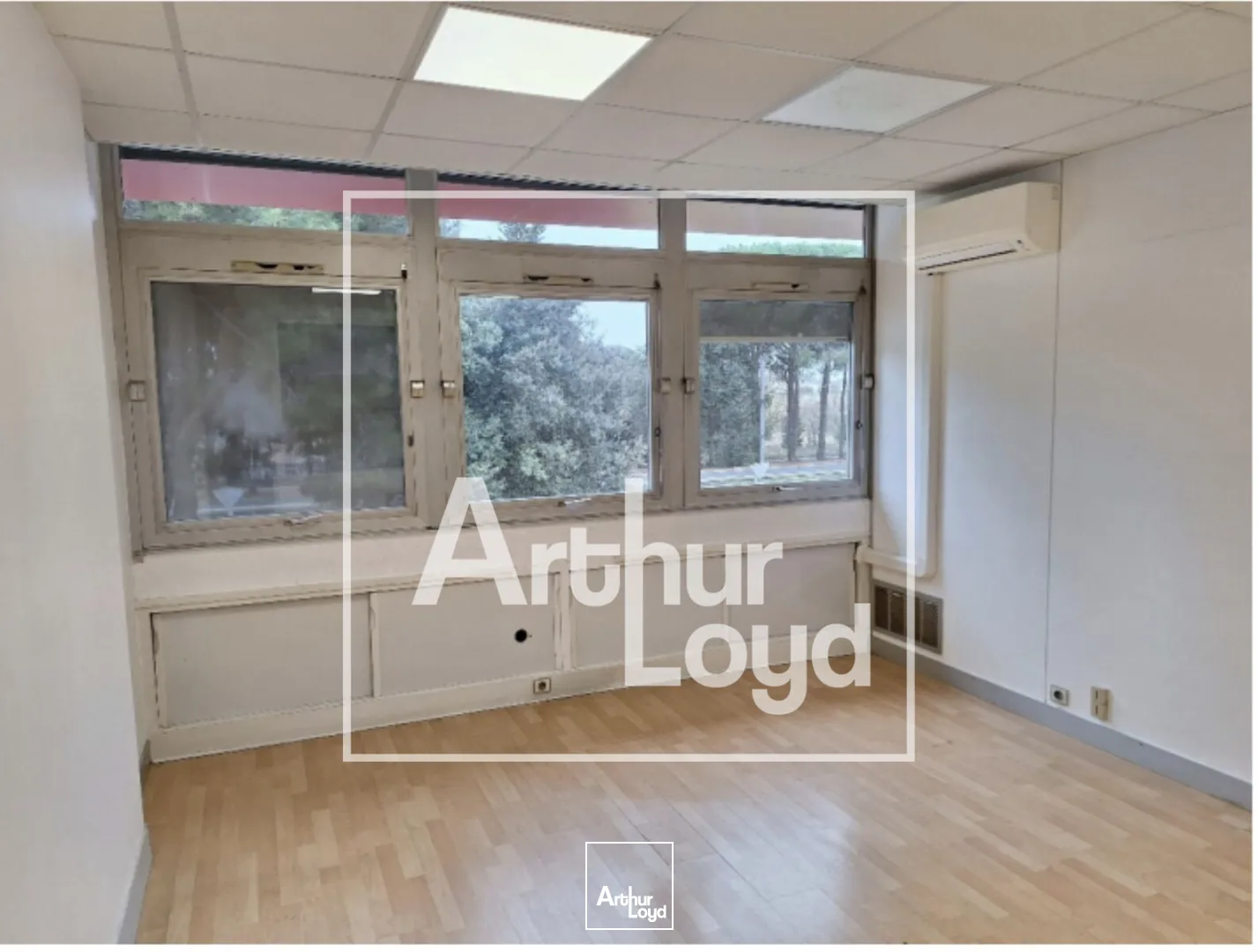 Bureaux - Location - LATTES - 34970 - 137-583 - 7879792