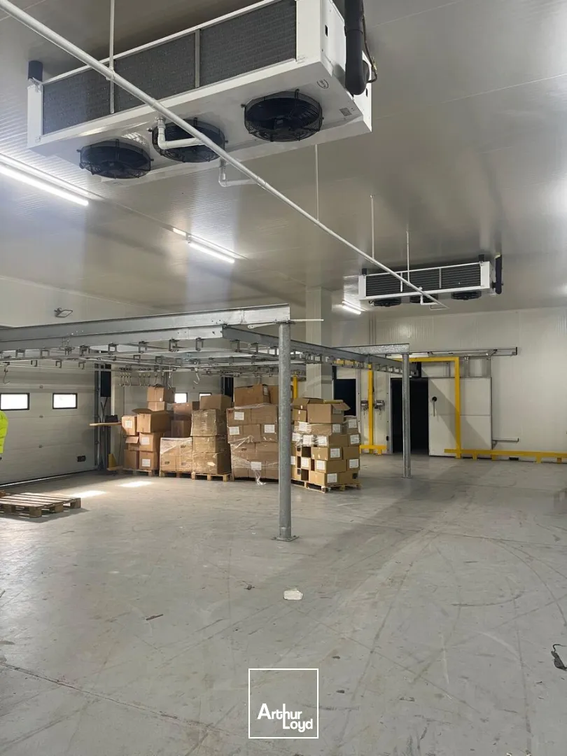 Locaux d'activité & Entrepôts - Location - GONESSE - 95500 - 117-1849 - 7880192