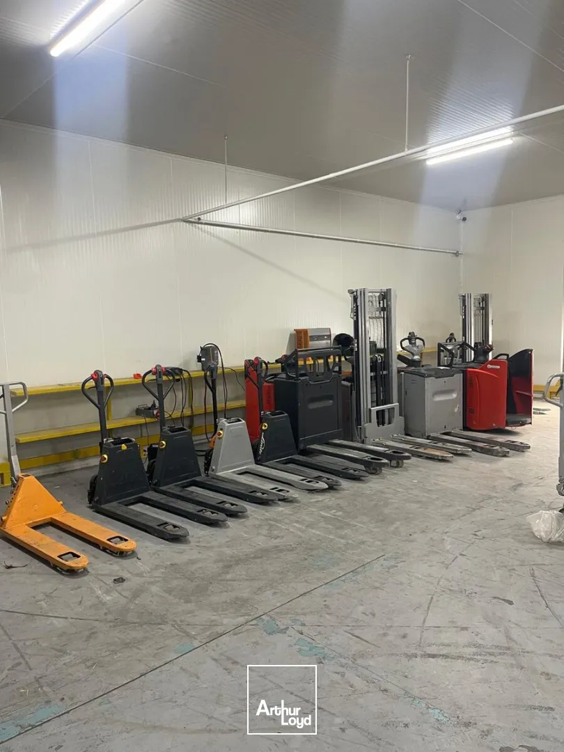Locaux d'activité & Entrepôts - Location - GONESSE - 95500 - 117-1849 - 7880193