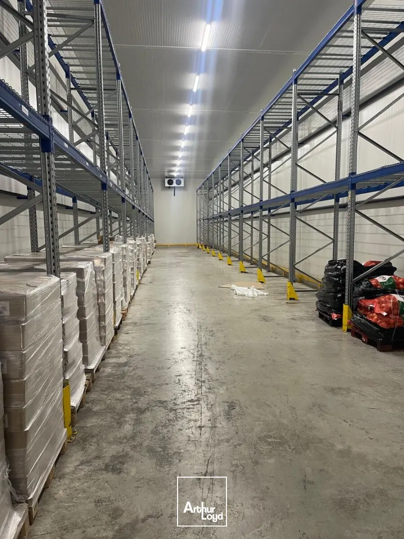 Locaux d'activité & Entrepôts - Location - GONESSE - 95500 - 117-1849 - 7880194