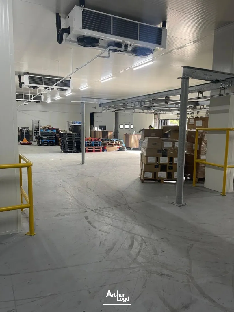Locaux d'activité & Entrepôts - Location - GONESSE - 95500 - 117-1849 - 7880195