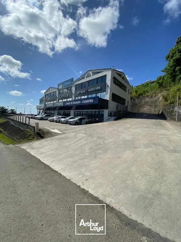 Locaux commerciaux - Location - Ducos - 97224 - 275-275 - 7880470