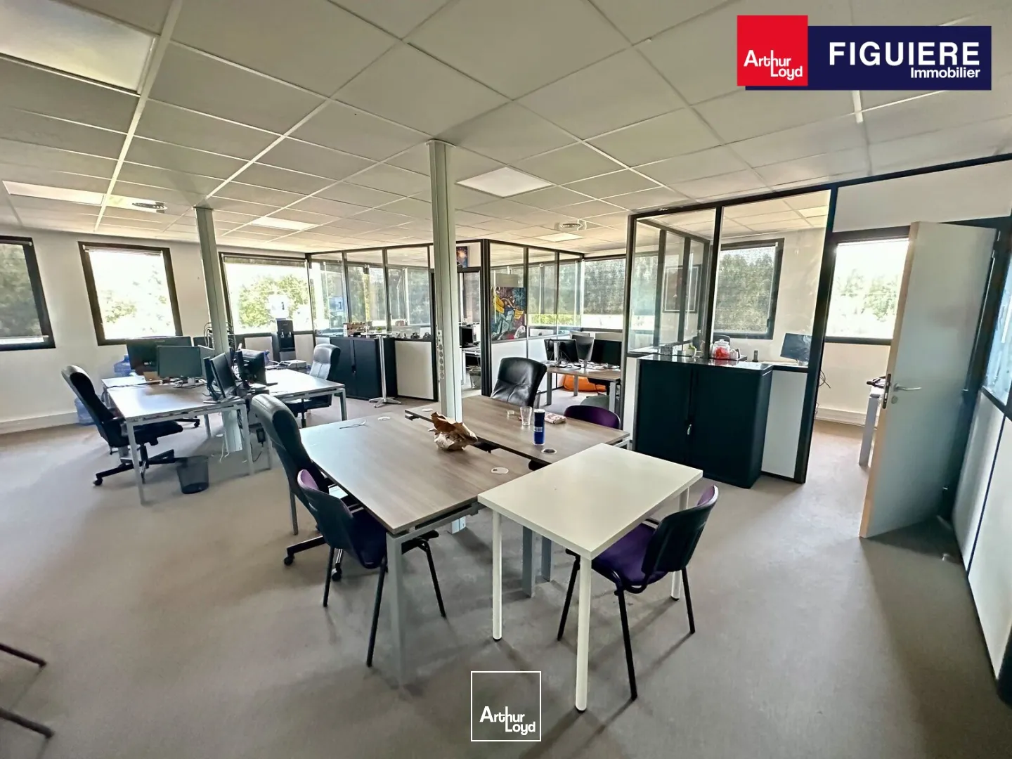 Bureaux - Vente - CHATEAUNEUF LE ROUGE - 13790 - 113.5-113.5 - 7890238