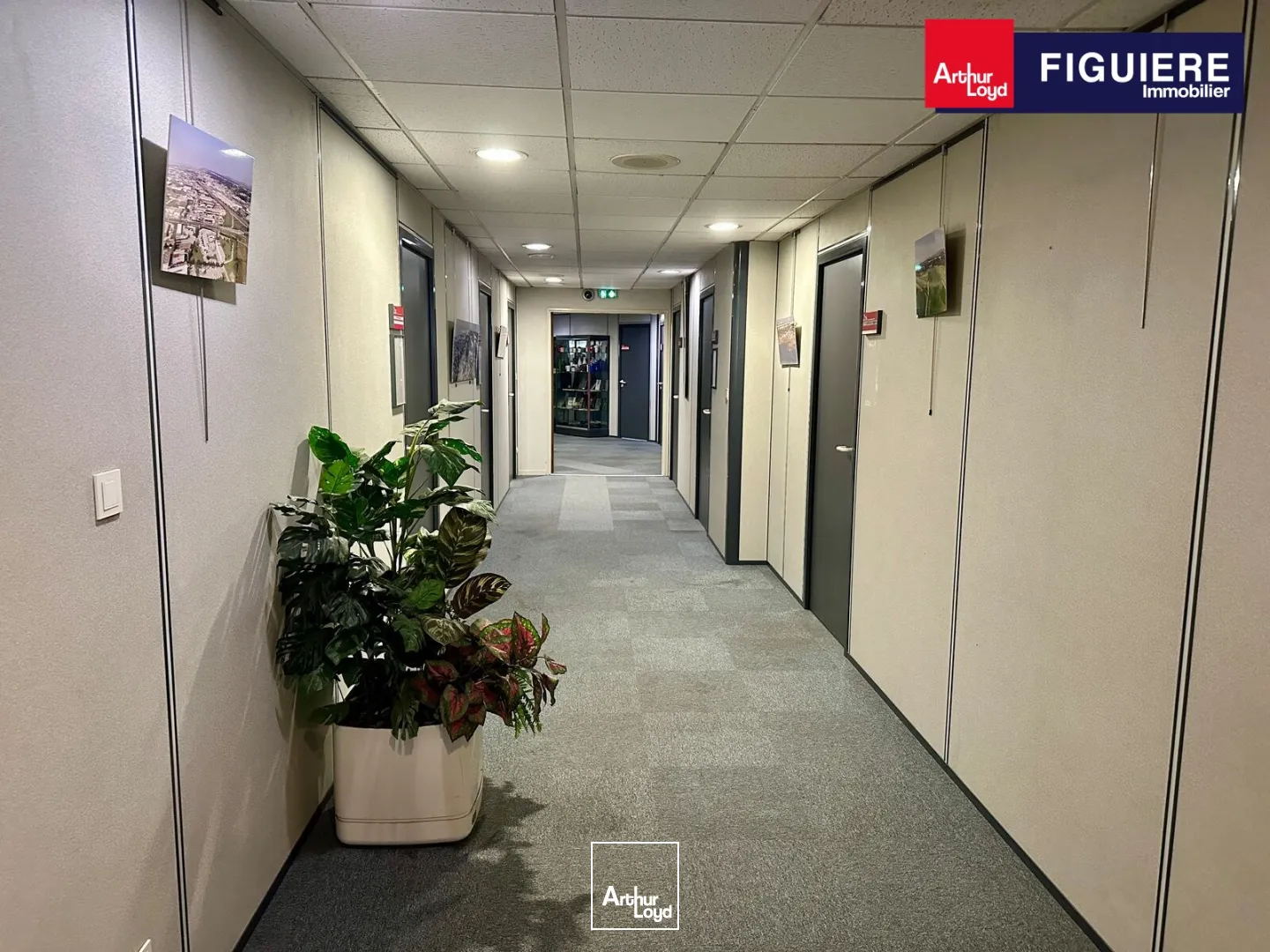Bureaux - Location - VITROLLES - 13127 - 180-180 - 7890593