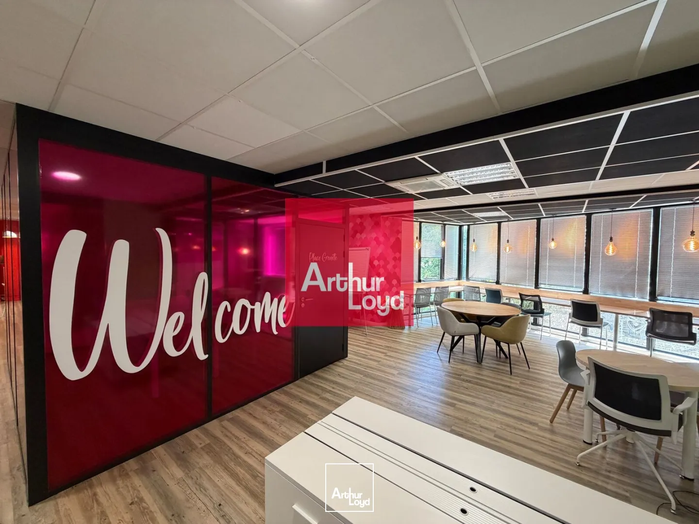 Bureaux - Vente - GRENOBLE - 38000 - 100-300 - 7891128