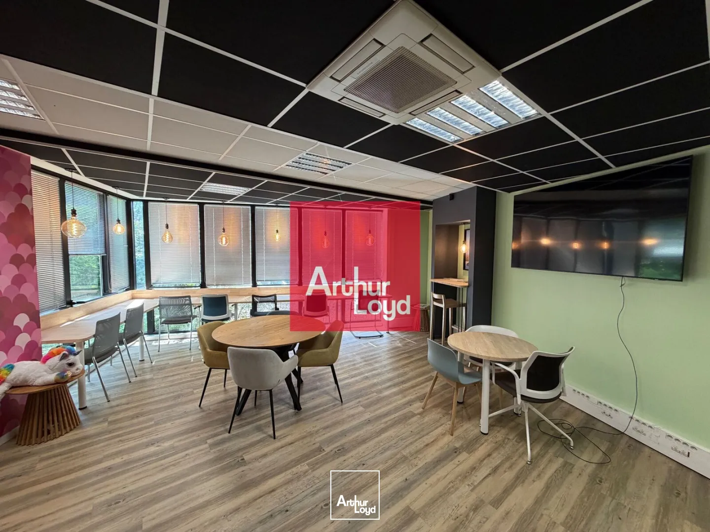 Bureaux - Vente - GRENOBLE - 38000 - 100-300 - 7891129