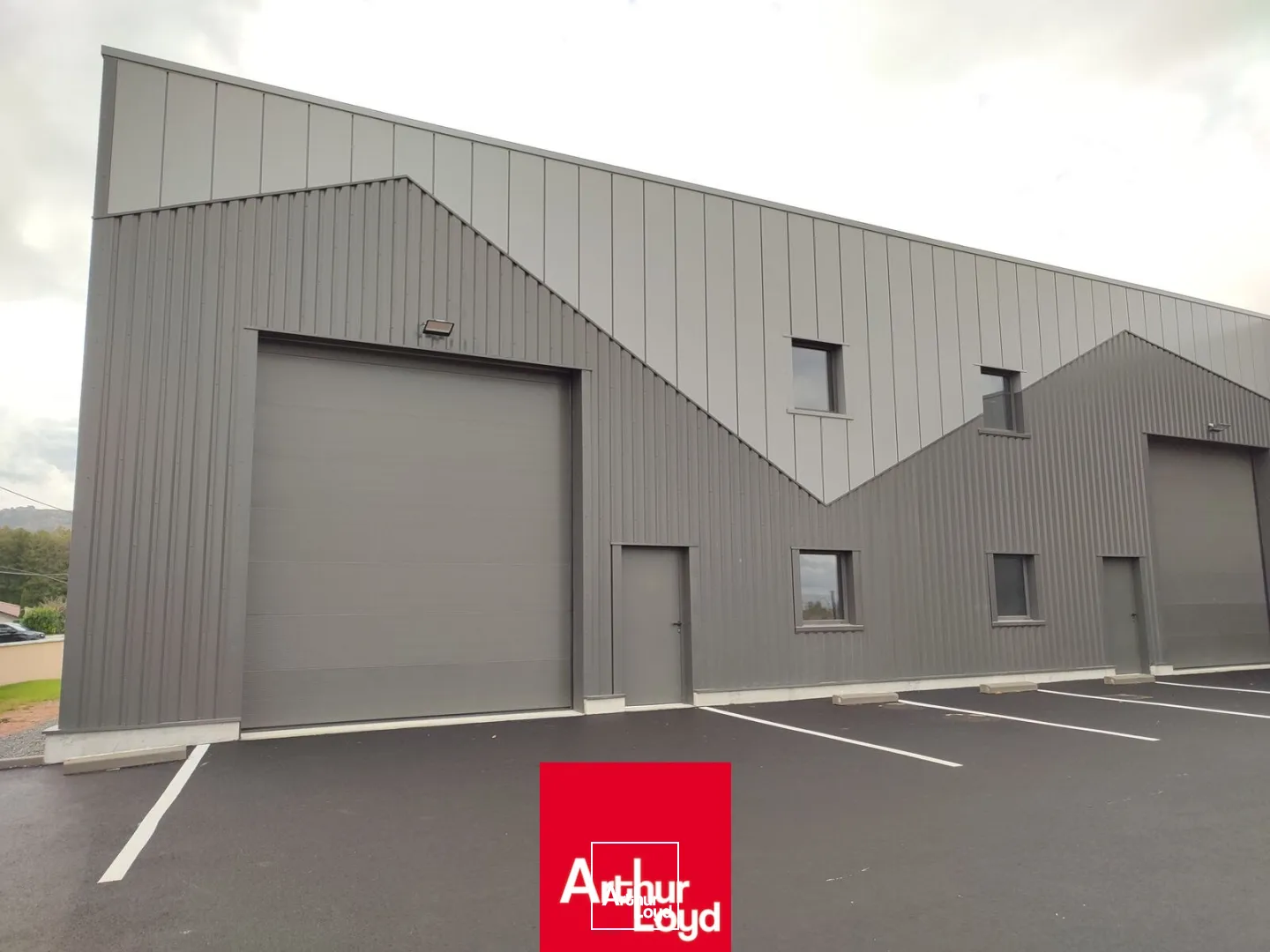 Locaux d'activité & Entrepôts - Vente - SAINT ETIENNE LA VARENNE - 69460 - 163-163 - 7891242