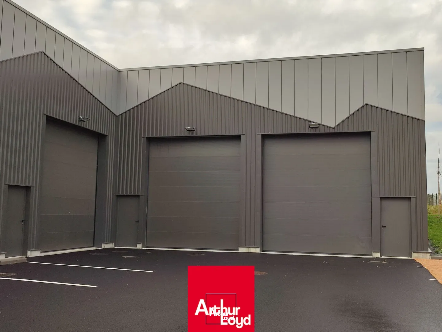 Locaux d'activité & Entrepôts - Vente - SAINT ETIENNE LA VARENNE - 69460 - 163-163 - 7891241