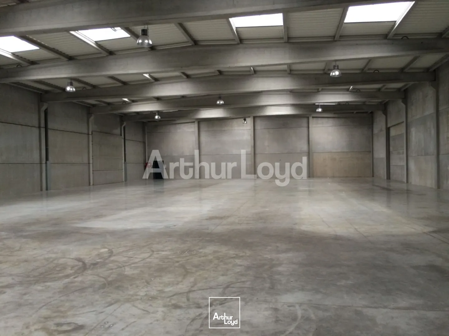 Locaux d'activité & Entrepôts - Location - SAINT ANDRE LEZ LILLE - 59350 - 2643-2643 - 7891651