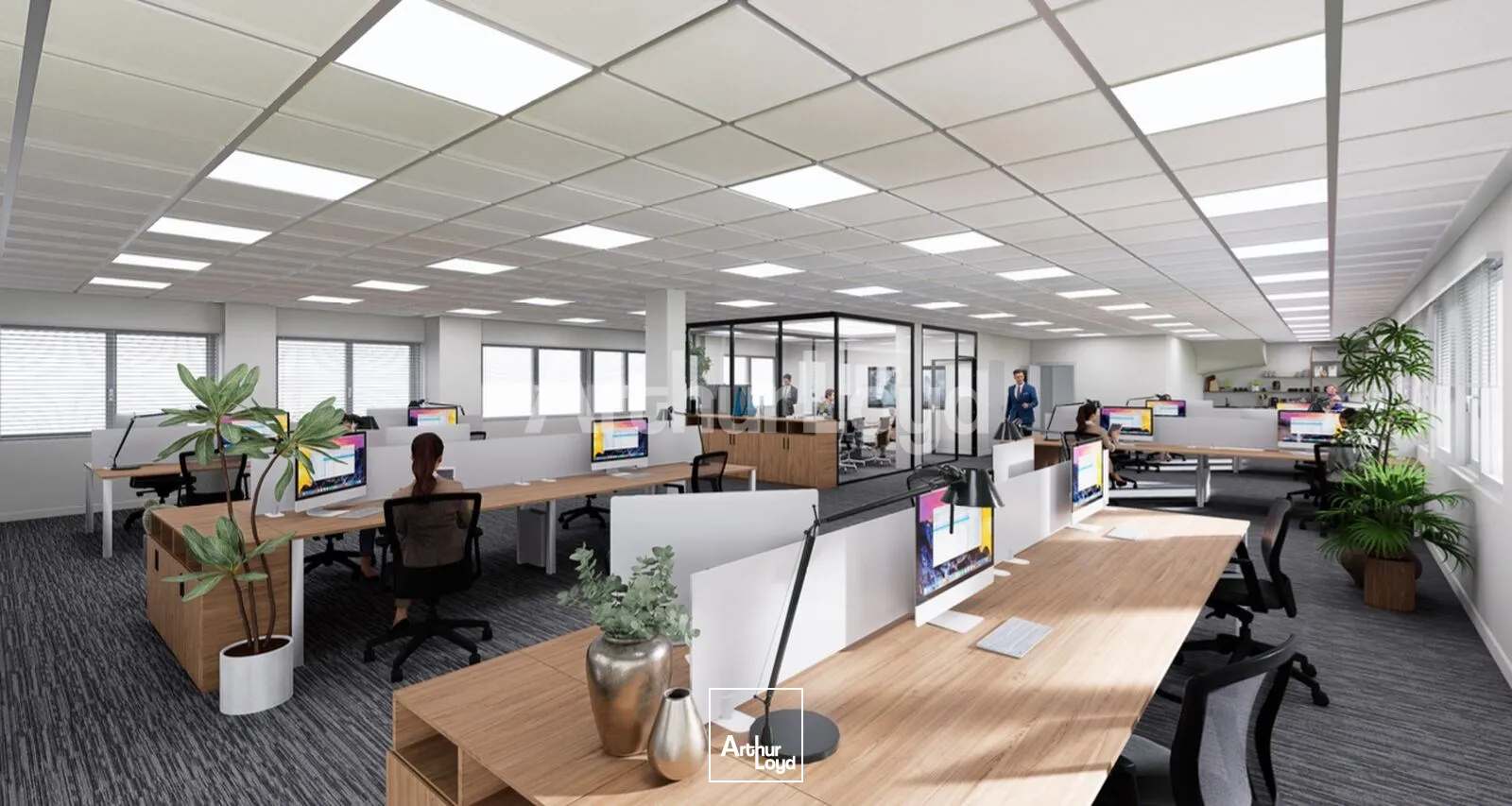 Bureaux - Location - ROUVIGNIES - 59220 - 776-776 - 7891676