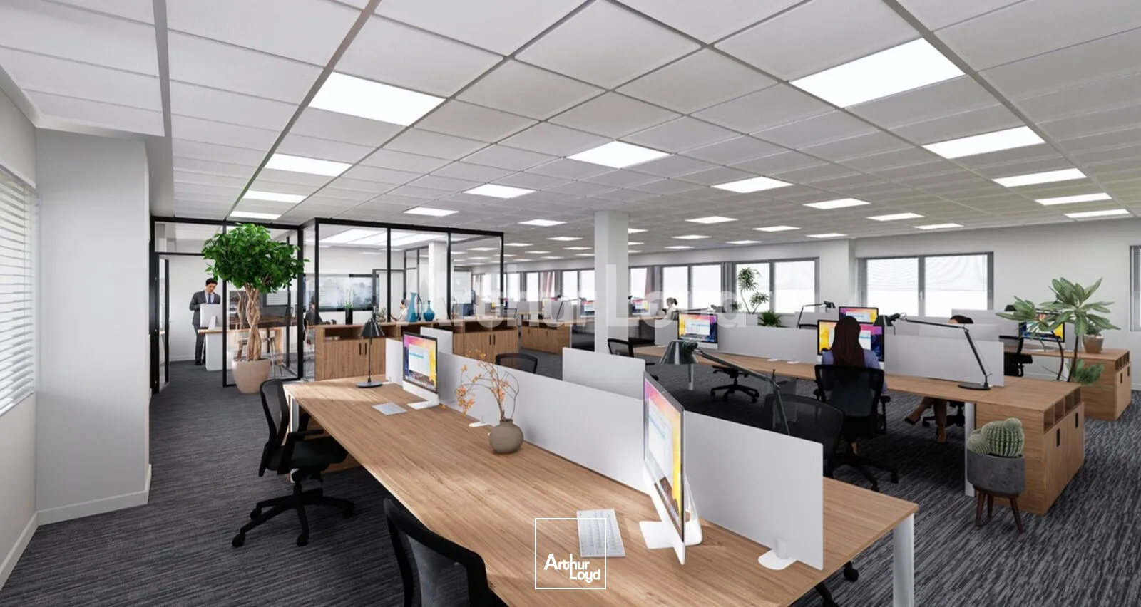 Bureaux - Location - ROUVIGNIES - 59220 - 776-776 - 7891675