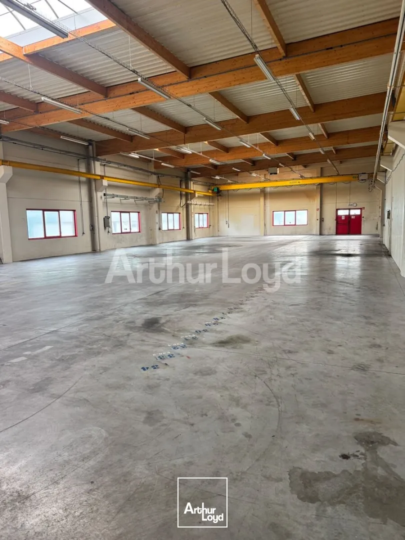 Locaux d'activité & Entrepôts - Location - SECLIN - 59113 - 476-3482 - 7891835