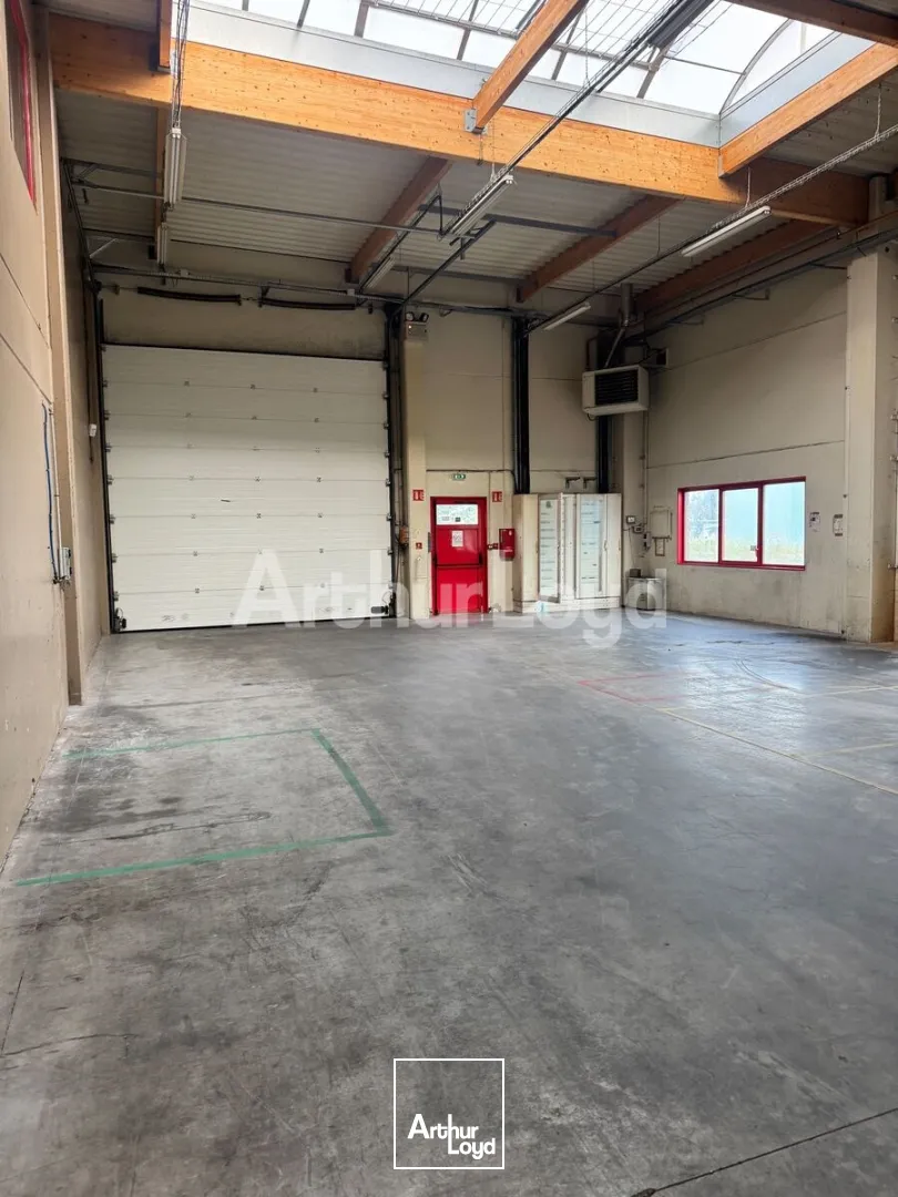 Locaux d'activité & Entrepôts - Location - SECLIN - 59113 - 476-3482 - 7891834