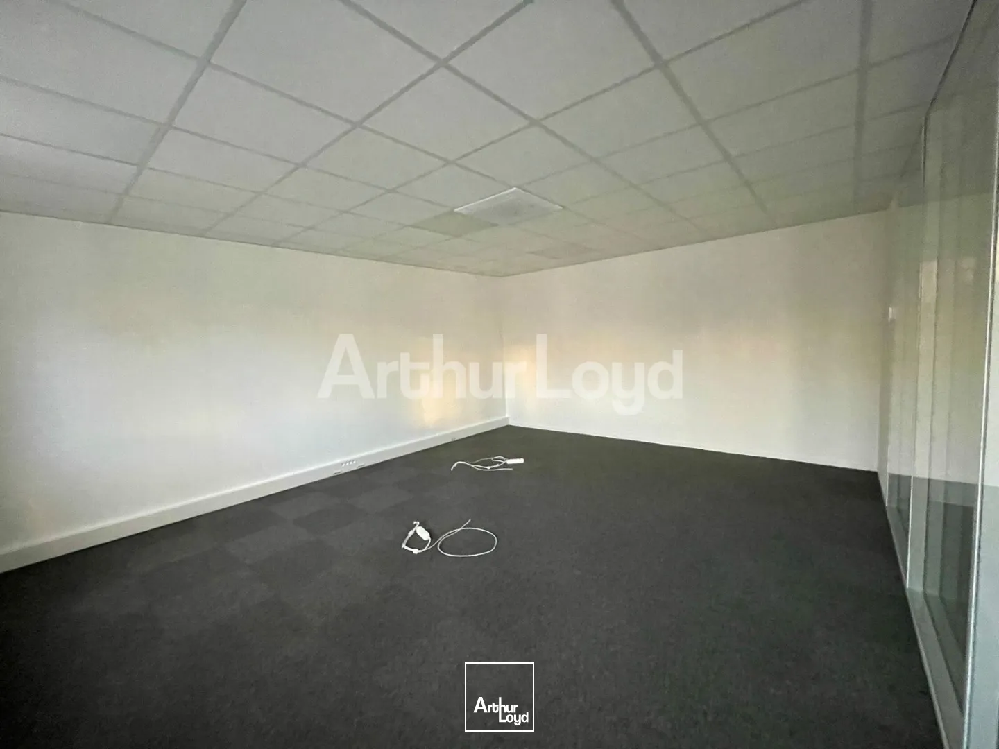 Bureaux - Location - VILLENEUVE D'ASCQ - 59650 - 206-206 - 7891952