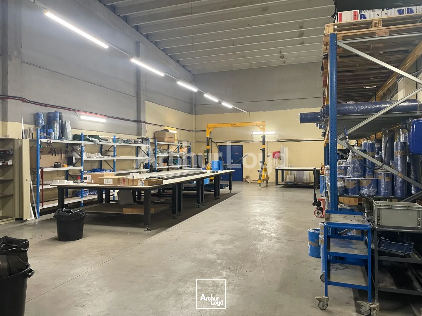 Locaux d'activité & Entrepôts - Location - TRITH SAINT LEGER - 59125 - 247-247 - 7892230