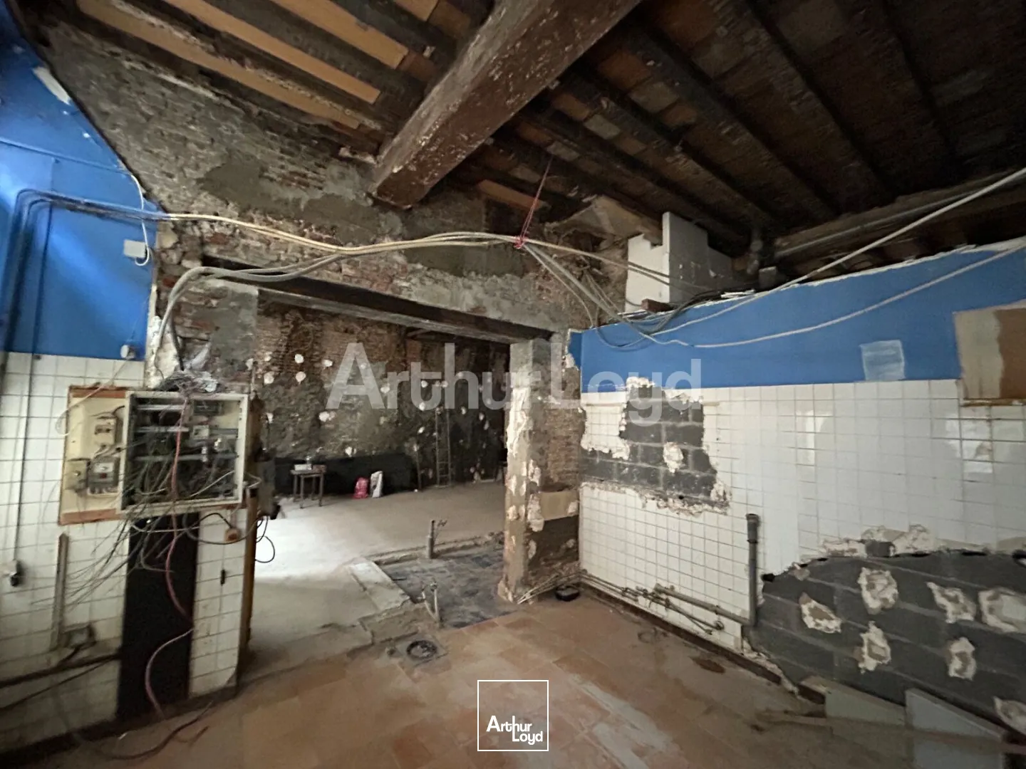 Locaux commerciaux - Location - LILLE - 59000 - 15-175 - 7892483
