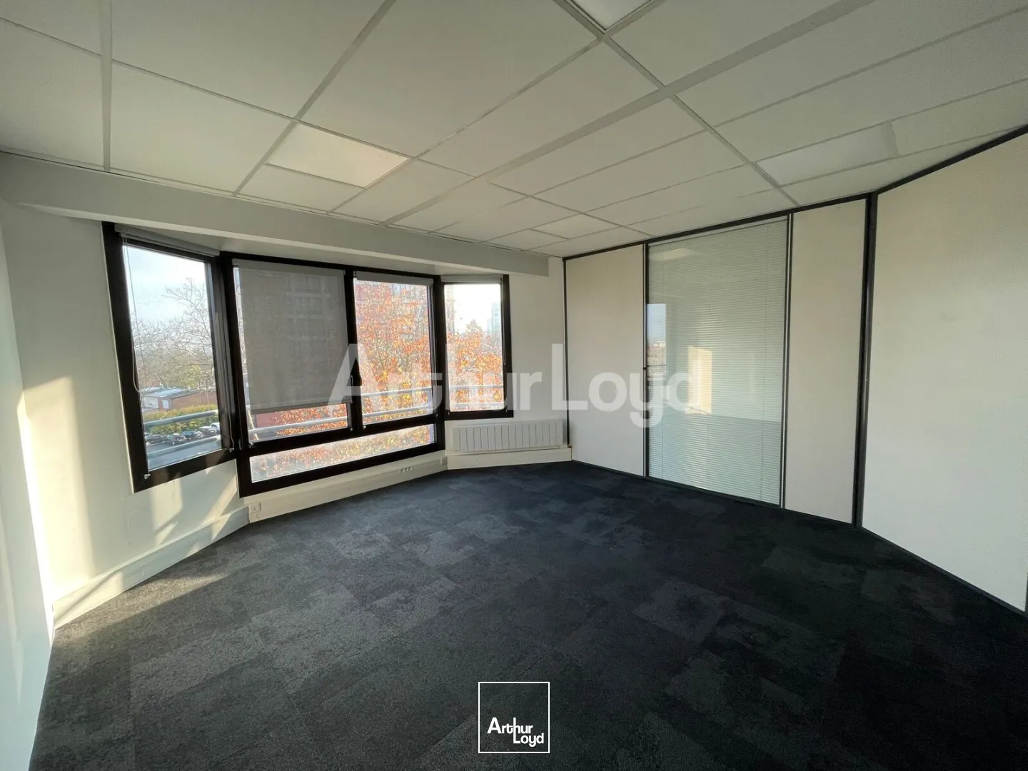 Bureaux - Location - LILLE - 59000 - 181-181 - 7892537